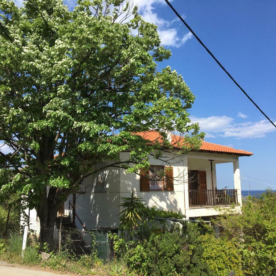 The Country House Koutsoupia Kokkino Nero Exterior foto