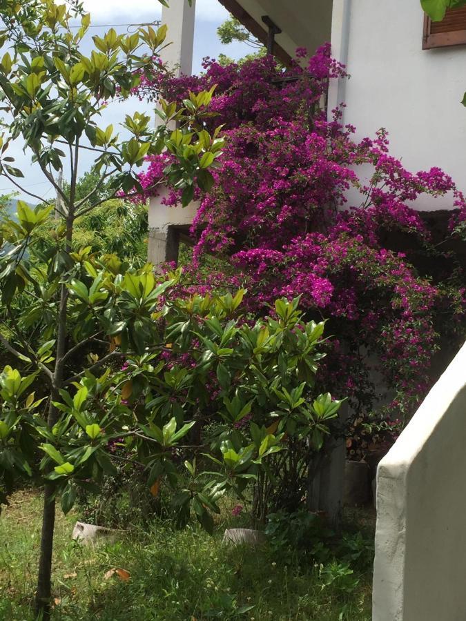 The Country House Koutsoupia Kokkino Nero Exterior foto